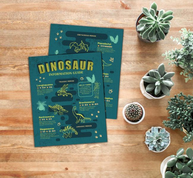 Dinosuar information guide on a wooden table with succulent pots on top